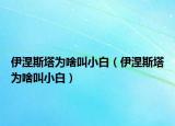 伊涅斯塔為啥叫小白（伊涅斯塔為啥叫小白）