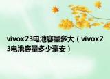 vivox23電池容量多大（vivox23電池容量多少毫安）