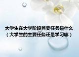 大學(xué)生在大學(xué)階段首要任務(wù)是什么（大學(xué)生的主要任務(wù)還是學(xué)習(xí)嘛）