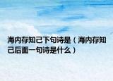 海內(nèi)存知己下句詩(shī)是（海內(nèi)存知己后面一句詩(shī)是什么）