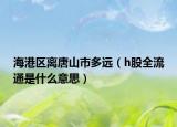 海港區(qū)離唐山市多遠(yuǎn)（h股全流通是什么意思）