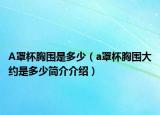 A罩杯胸圍是多少（a罩杯胸圍大約是多少簡介介紹）