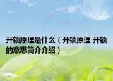 開鎖原理是什么（開鎖原理 開鎖的意思簡(jiǎn)介介紹）
