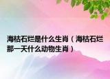 ?？菔癄€是什么生肖（海枯石爛那一天什么動(dòng)物生肖）