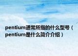 pentium通常所指的什么型號(hào)（pentium是什么簡介介紹）