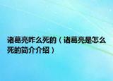 諸葛亮咋么死的（諸葛亮是怎么死的簡介介紹）