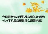 今日更新vivo手機(jī)反應(yīng)慢怎么處理(vivo手機(jī)反應(yīng)慢是什么原因求解)