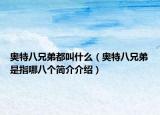 奧特八兄弟都叫什么（奧特八兄弟是指哪八個(gè)簡(jiǎn)介介紹）