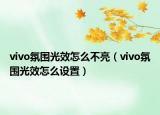 vivo氛圍光效怎么不亮（vivo氛圍光效怎么設(shè)置）