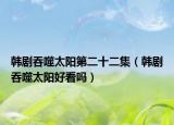 韓劇吞噬太陽第二十二集（韓劇吞噬太陽好看嗎）