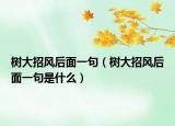 樹大招風(fēng)后面一句（樹大招風(fēng)后面一句是什么）