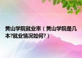 黃山學院就業(yè)率（黃山學院是幾本?就業(yè)情況如何?）
