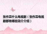 張作霖什么電視劇（張作霖電視劇都有哪些簡介介紹）
