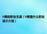 it男的職業(yè)生涯（it男是什么職業(yè)簡(jiǎn)介介紹）