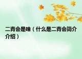 二青會(huì)是啥（什么是二青會(huì)簡(jiǎn)介介紹）