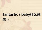 fantastic（baby什么意思）