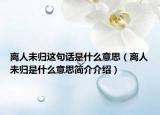 離人未歸這句話是什么意思（離人未歸是什么意思簡介介紹）
