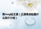 毒long鉆王源（王源毒龍鉆是什么簡(jiǎn)介介紹）