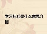 學習標兵是什么意思介紹