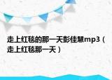 走上紅毯的那一天彭佳慧mp3（走上紅毯那一天）