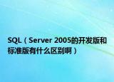SQL（Server 2005的開發(fā)版和標準版有什么區(qū)別啊）