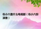 伍小六是什么電視?。ㄎ樾×缪菡撸? /></span></a>
                        <h2><a href=