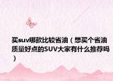 買suv哪款比較省油（想買個(gè)省油質(zhì)量好點(diǎn)的SUV大家有什么推薦嗎）