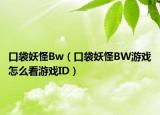 口袋妖怪Bw（口袋妖怪BW游戲怎么看游戲ID）