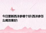 今日更新西洋參哪個(gè)好(西洋參怎么喝效果好)