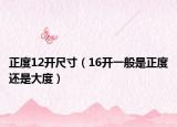 正度12開尺寸（16開一般是正度還是大度）