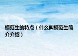 模范生的特點(diǎn)（什么叫模范生簡(jiǎn)介介紹）