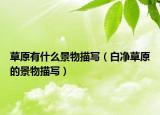 草原有什么景物描寫（白凈草原的景物描寫）