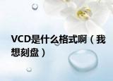 VCD是什么格式?。ㄎ蚁肟瘫P）