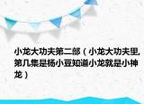 小龍大功夫第二部（小龍大功夫里,第幾集是楊小豆知道小龍就是小神龍）