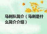馬刺隊(duì)簡(jiǎn)介（馬刺是什么簡(jiǎn)介介紹）