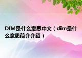 DIM是什么意思中文（dim是什么意思簡(jiǎn)介介紹）