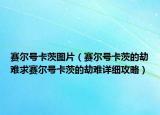 賽爾號卡茨圖片（賽爾號卡茨的劫難求賽爾號卡茨的劫難詳細攻略）