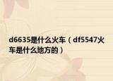 d6635是什么火車（df5547火車是什么地方的）