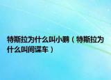 特斯拉為什么叫小鵬（特斯拉為什么叫間諜車）