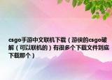 csgo手游中文聯(lián)機(jī)下載（游俠的csgo破解（可以聯(lián)機(jī)的）有很多個下載文件到底下載那個）
