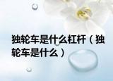 獨(dú)輪車是什么杠桿（獨(dú)輪車是什么）
