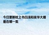 今日更新枕上書白淺和夜華大婚是在哪一集
