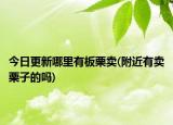 今日更新哪里有板栗賣(附近有賣栗子的嗎)