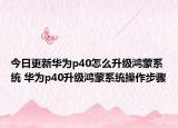 今日更新華為p40怎么升級鴻蒙系統(tǒng) 華為p40升級鴻蒙系統(tǒng)操作步驟