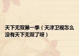 天下無雙第一季（天津衛(wèi)視怎么沒有天下無雙了呀）