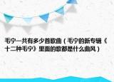 毛寧一共有多少首歌曲（毛寧的新專輯《十二種毛寧》里面的歌都是什么曲風(fēng)）