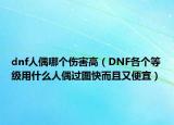 dnf人偶哪個(gè)傷害高（DNF各個(gè)等級(jí)用什么人偶過(guò)圖快而且又便宜）