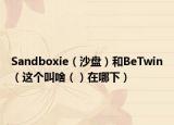Sandboxie（沙盤）和BeTwin（這個叫啥（）在哪下）