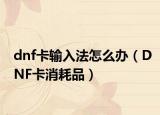 dnf卡輸入法怎么辦（DNF卡消耗品）