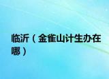 臨沂（金雀山計(jì)生辦在哪）